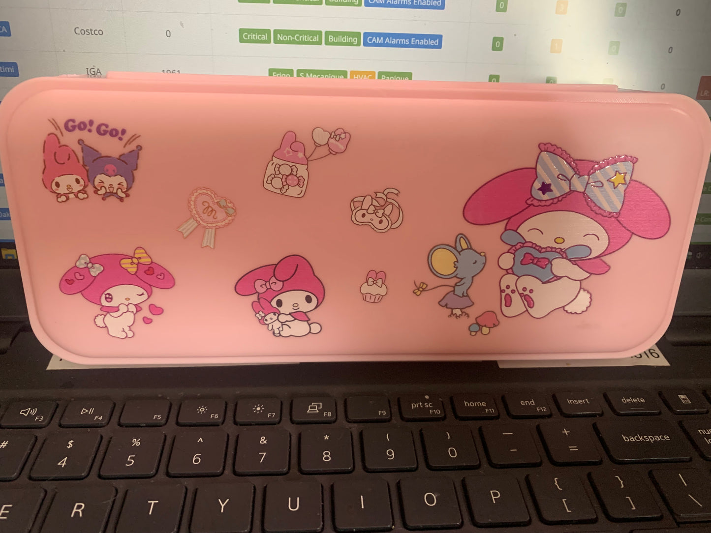 Sanrio pencil case